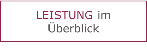 LEISTUNG im Überblick