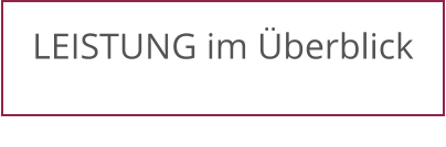 LEISTUNG im Überblick